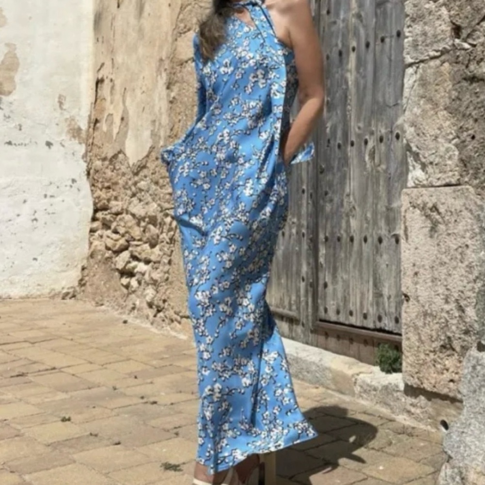 Zara Blue Floral Print Dress